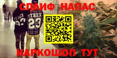 шишки Будённовск