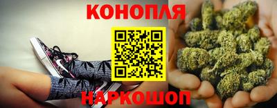 шишки Будённовск